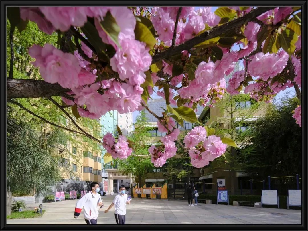 北京市陈经纶中学：集团各校区积极开展心理健康教育活动