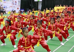 2025北京市第五届幼儿武术操汇演圆满结束