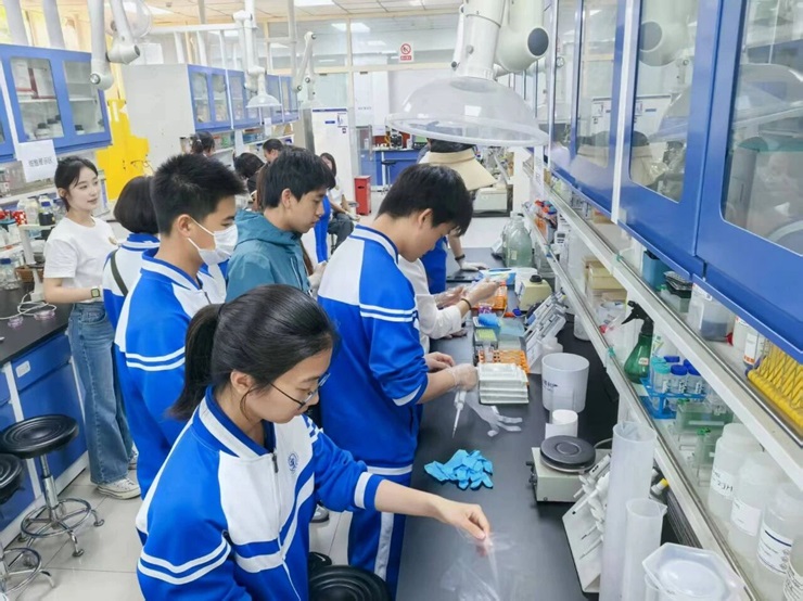 1768306558791314.jpg 7.jpg