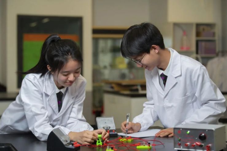 1770187427549743.jpg 图片2.jpg